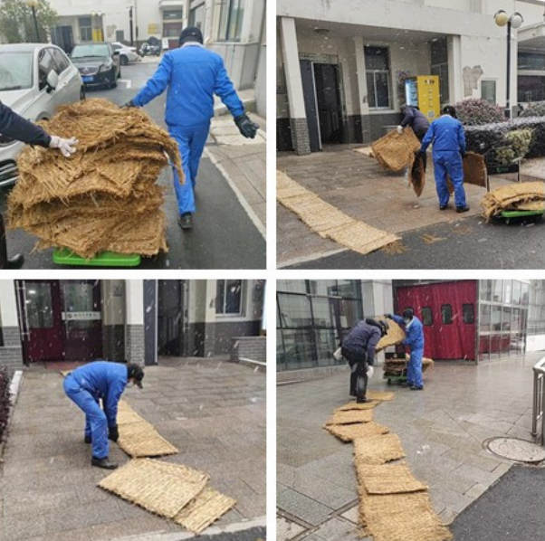 以雪為“令”，以動止“凍”